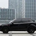 Hongqi Hongqi HS5 2025 из Китая