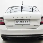 Skoda Rapid 2019 из Китая