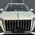 Hongqi Hongqi HS5 2024 из Китая