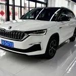 Skoda Kamiq 2022 из Китая
