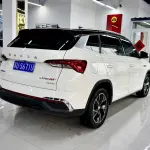 Skoda Kamiq 2022 из Китая
