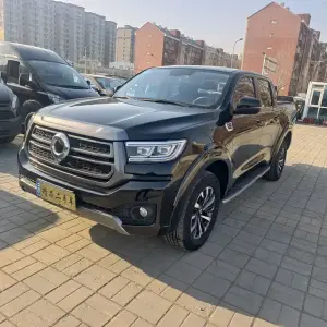 Great Wall Pao 2023 190 л.с. 190 л.с. из Китая