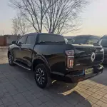Great Wall Pao 2023 190 л.с. 190 л.с. из Китая
