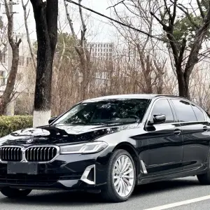 BMW 5 Series 2021 252 л.с. — лот 57692151 из Китая