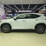 Lexus NX 2023 203 л.с. 203 л.с. из Китая