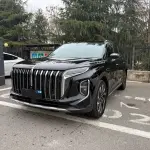 Hongqi Hongqi HS7 PHEV 2024 из Китая