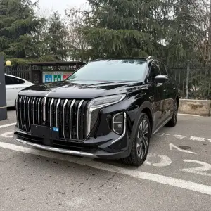Hongqi Hongqi HS7 PHEV 2024 из Китая