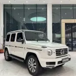 Mercedes-Benz G-Class 2019 из Китая
