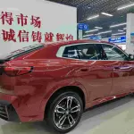 BMW X2 (Import) 2024 из Китая