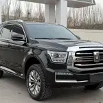 Tank Tank 500 New Energy 2024 из Китая