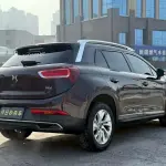 DS DS 6 2016 из Китая