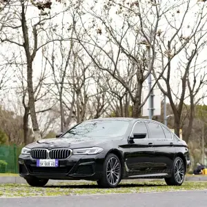 BMW 5 Series 2021 252 л.с. — лот 57766987 из Китая