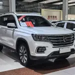 Roewe RX8 2023 из Китая