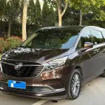 Buick GL8 2021 237 л.с. 237 л.с. 237 л.с. 237 л.с. 237 л.с. 237 л.с. 237 л.с. из Китая