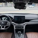 BYD PLUS 2021 из Китая