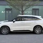 Honda Avancier 2020 272 л.с. — лот 57775475 из Китая