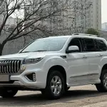Haval H9 2022 из Китая