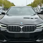 BMW 5 Series 2023 184 л.с. — лот 57773606 из Китая