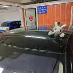 Land Rover Evoque 2018 241 л.с. — лот 57779596 из Китая