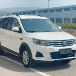 Fengxing Fengxing SX6 2021 из Китая