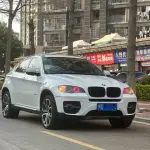 BMW X6 2011 306 л.с. 306 л.с. 306 л.с. 306 л.с. из Китая