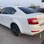 Skoda Octavia 2017 из Китая
