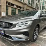 Geely Borui 2021 из Китая