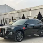 Hongqi Hongqi HS5 2024 252 л.с. 252 л.с. 252 л.с. из Китая
