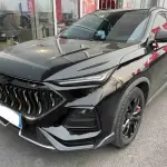 Oshan Oushang X5 2022 180 л.с. из Китая