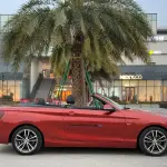 BMW 2 Series (Import) 2018 136 л.с. — лот 57801907 из Китая