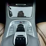 Mercedes-Benz S-Class 2015 из Китая