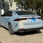 GAC Motor Shadow Leopard 2023 238 л.с. 238 л.с. 238 л.с. из Китая