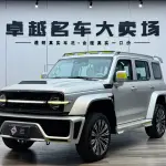 CYBERSPACE Tank 300 2022 из Китая