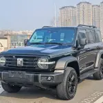 Tank Tank 300 2023 из Китая