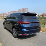 BYD MAX 2021 из Китая