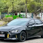 GAC Motor Shadow Leopard 2022 177 л.с. — лот 57808094 из Китая