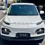 Dayun Yuehu 2023 из Китая