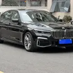 BMW 7 Series 2018 258 л.с. — лот 57808937 из Китая