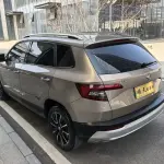Skoda Karoq 2019 из Китая