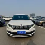 Skoda Kodiaq 2017 из Китая