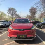 WM Motor EX5 2019 из Китая