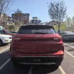WM Motor EX5 2019 из Китая
