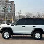 Tank Tank 300 2023 из Китая