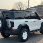 Tank Tank 300 2023 из Китая