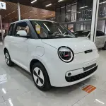 Qiyuan Lumin 2026 из Китая