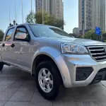 Great Wall Fengjun 5 2019 из Китая