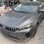 Geely Binrui 2026 из Китая