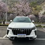 GAC Motor GS4 Plus 2024 из Китая