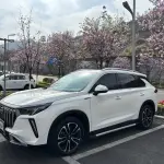 GAC Motor GS4 Plus 2024 из Китая