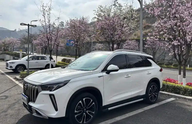 GAC Motor GS4 Plus 2024 из Китая